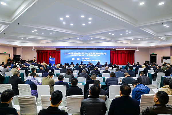 頂立科技參加硅基新材料高峰論壇，分享高純石英制備熱工裝備最新技術 (2).jpg