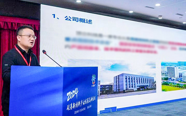 頂立科技參加硅基新材料高峰論壇，分享高純石英制備熱工裝備最新技術(shù)